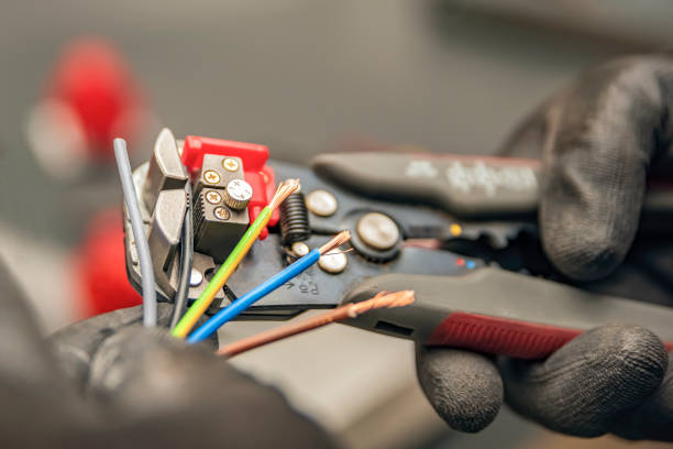 Best Electrician for Home Renovation  in Caledonia, MI