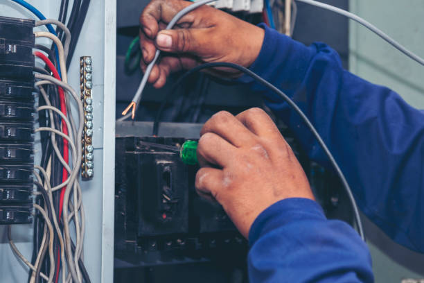 Best Ceiling Fan Installation Electrician  in Caledonia, MI